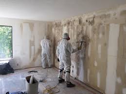 Trusted Florence Graham, CA Mold Removal & Remediation Experts